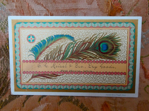 GORGEOUS 1880s Antique Trade Card, Chromolithograph by Prang, Meisel & Bro Dry Goods Port Huron,Michigan, Collectible Victorian Trade Cards