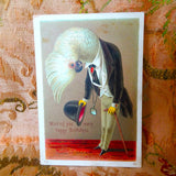 STRIKING Antique Victorian Birthday Card, Chromolithograph Card, Dressed COCKATOO bird, Beautiful card, Suitable To Frame, Collectible Cards