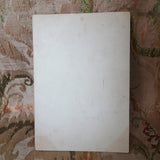 STRIKING Antique Victorian Birthday Card, Chromolithograph Card, Dressed COCKATOO bird, Beautiful card, Suitable To Frame, Collectible Cards