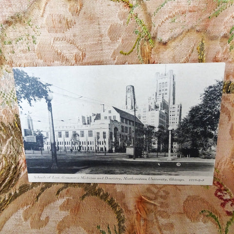 VINTAGE Chicago World's Fair 1933 Souvenir Postcard, School of Law,Commerce,Medicine and Dentistry, Northwestern University Chicago, Collectible Postcards