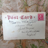 BEAUTIFUL Original Private Mailing Card, American Falls Niagara, Arthur Livingston Publisher, Never Used, Frame It,Collectible Antique Postcards