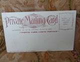 BEAUTIFUL Original Private Mailing Card, American Falls Niagara, Arthur Livingston Publisher, Never Used, Frame It,Collectible Antique Postcards