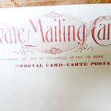 BEAUTIFUL Original Private Mailing Card, American Falls Niagara, Arthur Livingston Publisher, Never Used, Frame It,Collectible Antique Postcards