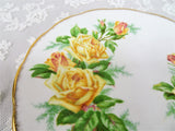 BEAUTIFUL Vintage Tea Rose Plate,Royal Albert English Bone China, Bread and Butter or Dessert Plate, Replacement China, Collectible English China