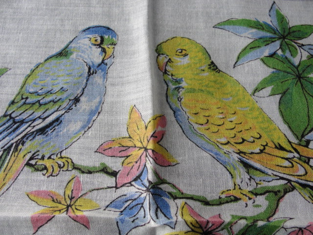 BEAUTIFUL Vintage Printed Hanky BIRDS Hankie PARROTS Handkerchief Lovely To Frame