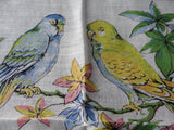 BEAUTIFUL Vintage Printed Hanky BIRDS Hankie PARROTS Handkerchief Lovely To Frame