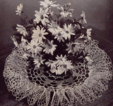 VINTAGE 1940s Coats Clark 252 Book Pineapple Pageant Crochet Patterns Ruffled Lace Doilies