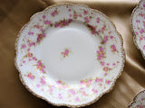 CHARMING Bridal Rose Pink Roses Tea Plates,Set of 6, MZ Czech Fine Bone China,Fine Dining Dinnerware,Bridal Shower Wedding Gifts,Tea Parties