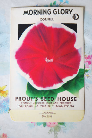 1930s Vintage Morning Glory Flower Seed Packet